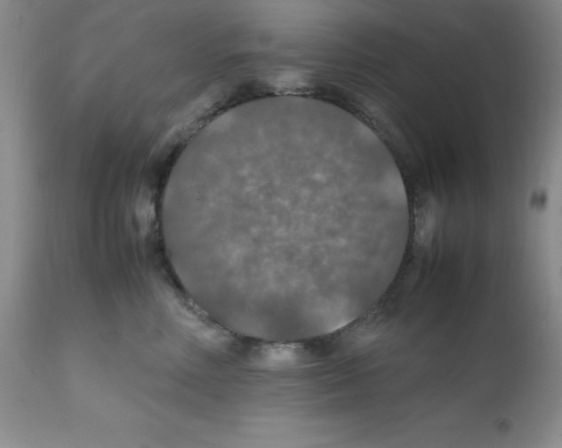 X0000112010618200909141127