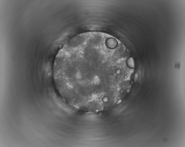 X0000112010620200909141127