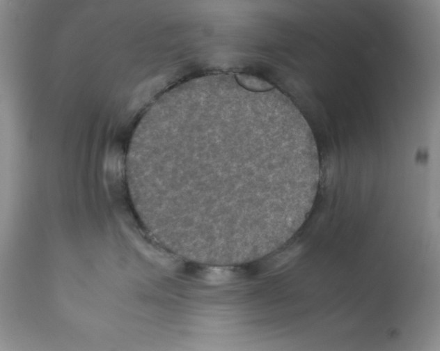 X0000112010623200909141127