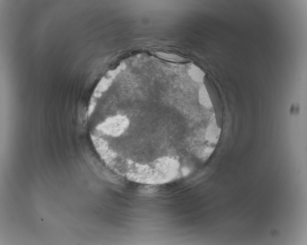 X0000112010624200909141127