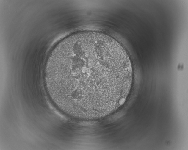 X0000112010625200909141126