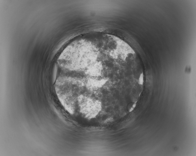 X0000112010626200909141126