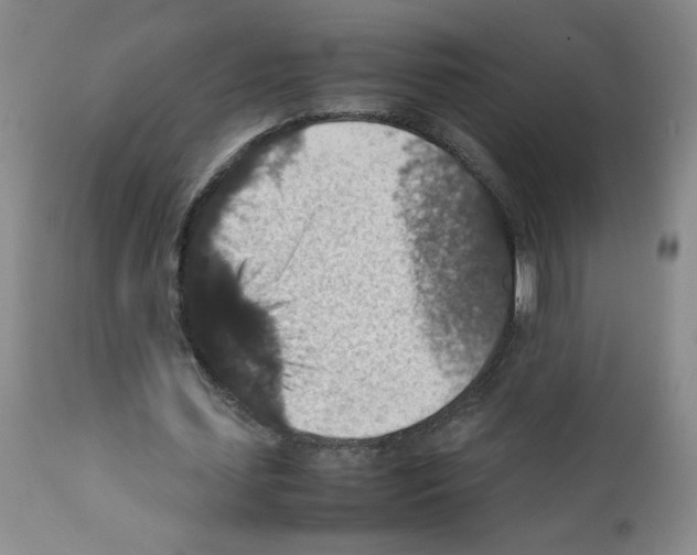 X0000112010627200909141126