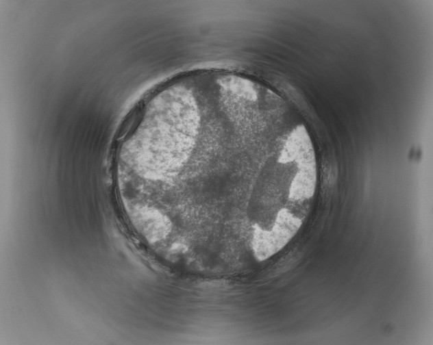X0000112010628200909141126