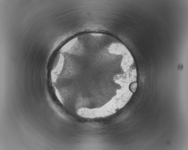 X0000112010630200909141126