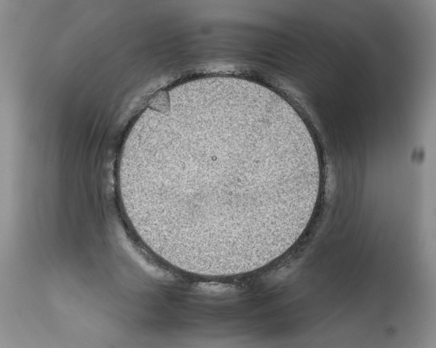 X0000112010633200909141126