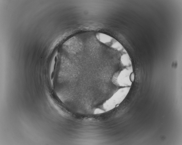 X0000112010634200909141126