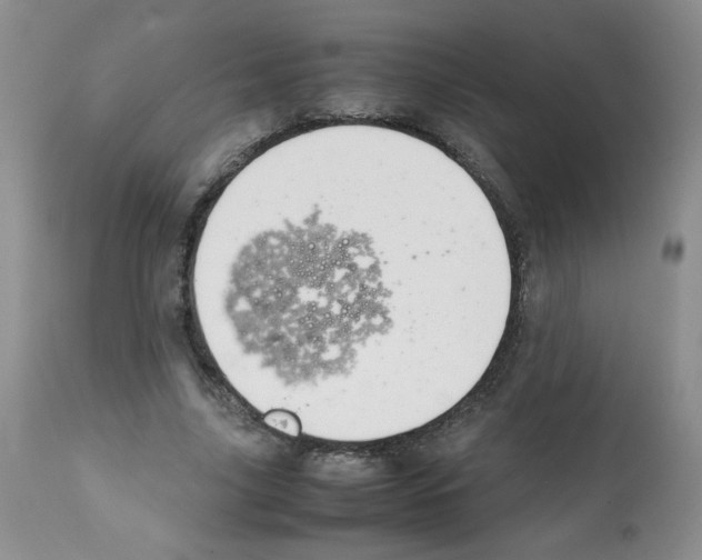 X0000112010635200909141126