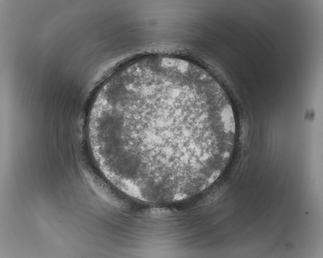 X0000112010636200909141126