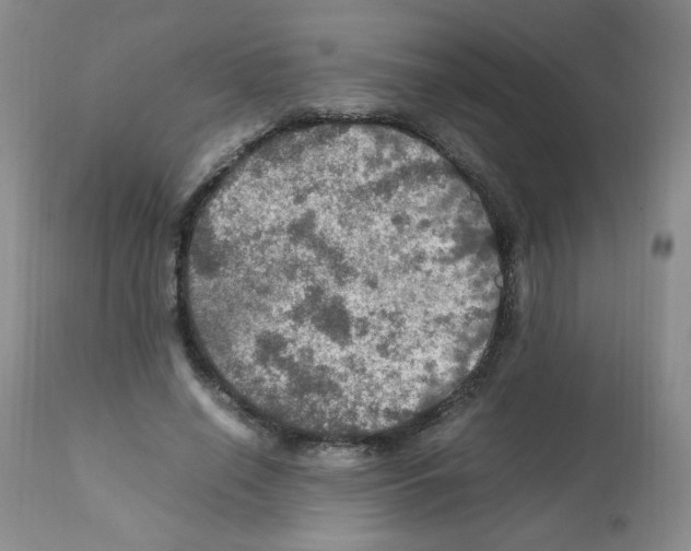 X0000112010638200909141126