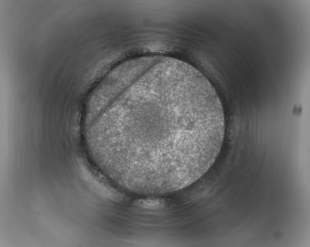 X0000112010639200909141126