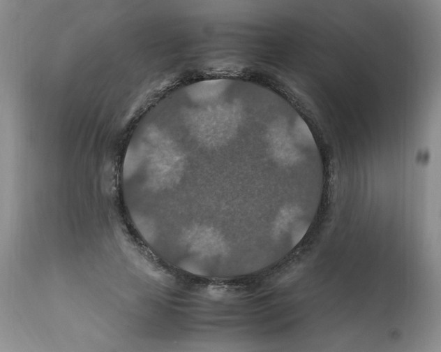 X0000112010641200909141127