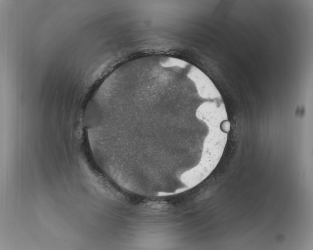 X0000112010642200909141127