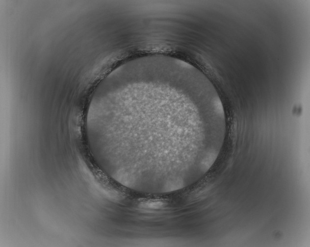 X0000112010643200909141127