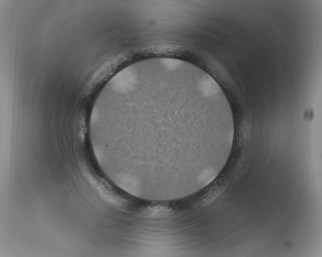 X0000112010644200909141127