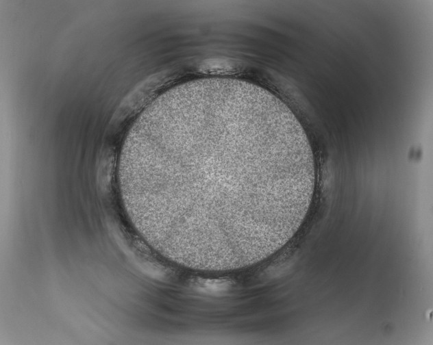 X0000112010645200909141127