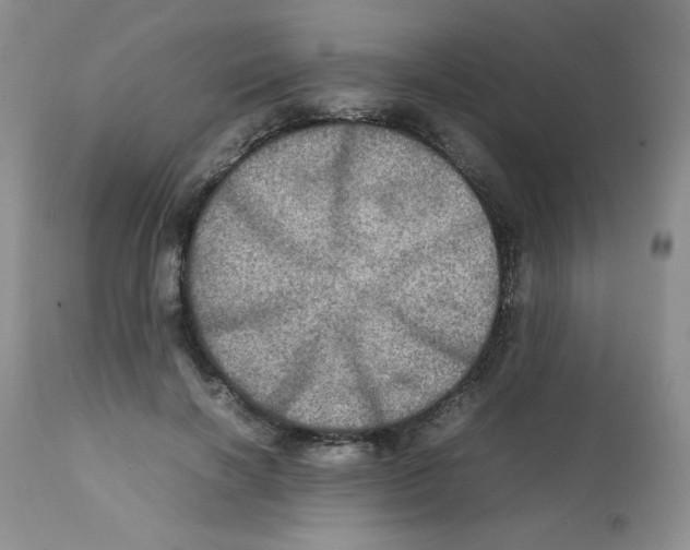 X0000112010646200909141127