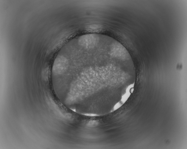 X0000112010647200909141127