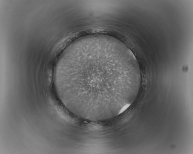 X0000112010648200909141127