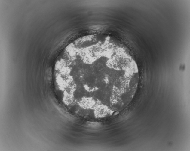 X0000112010649200909141127