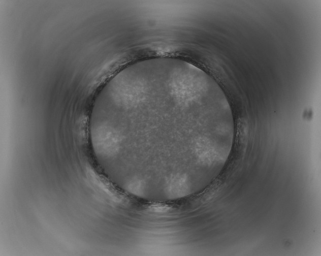 X0000112010650200909141127