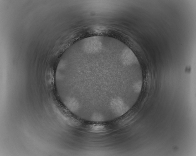 X0000112010651200909141127