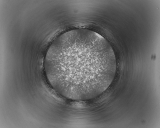 X0000112010652200909141127