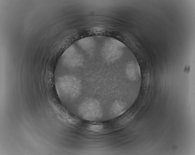 X0000112010653200909141127