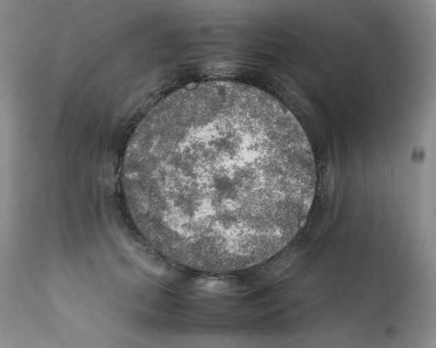 X0000112010655200909141127