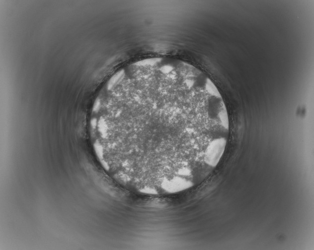 X0000112010656200909141127