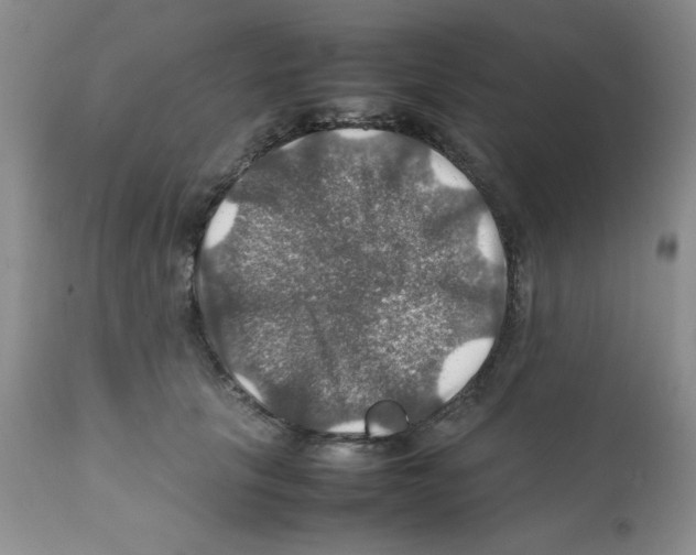 X0000112010657200909141127