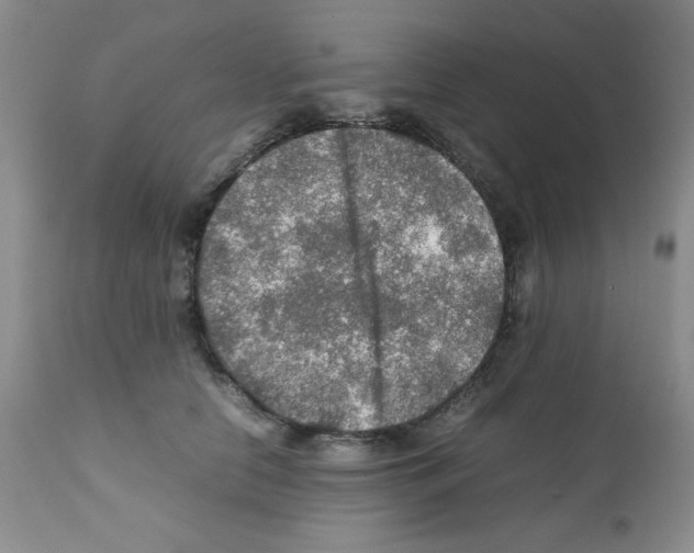 X0000112010658200909141127