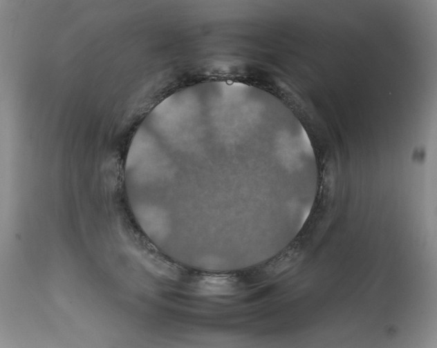 X0000112010659200909141127