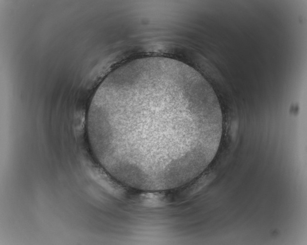 X0000112010660200909141127