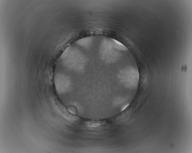 X0000112010661200909141127