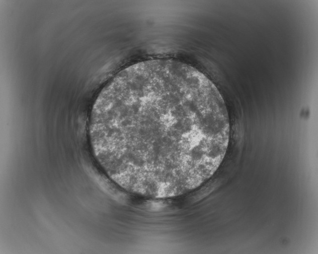 X0000112010662200909141127