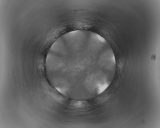 X0000112010663200909141127
