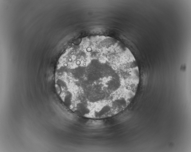 X0000112010665200909141127