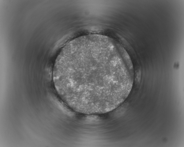 X0000112010666200909141127