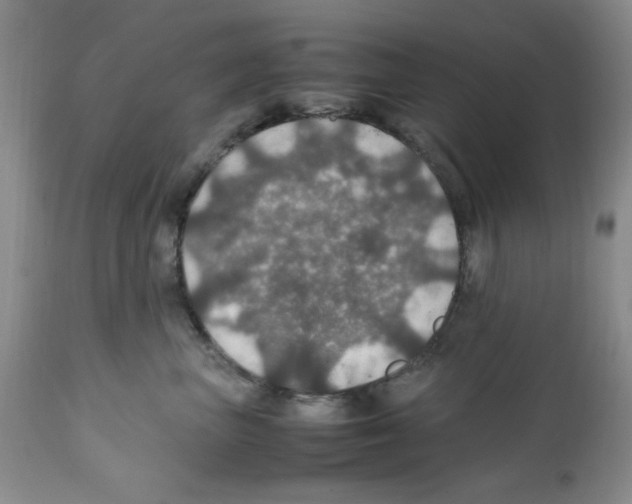 X0000112010667200909141127