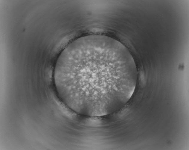 X0000112010668200909141127