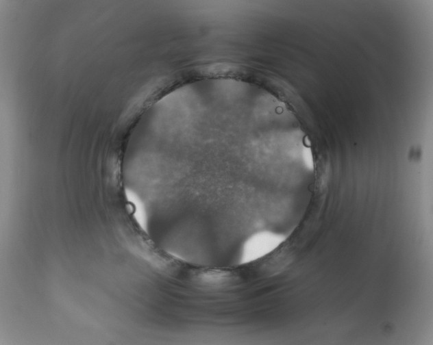 X0000112010669200909141127