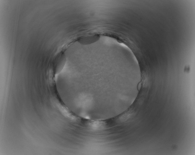 X0000112010670200909141127