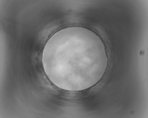 X0000112010672200909141127