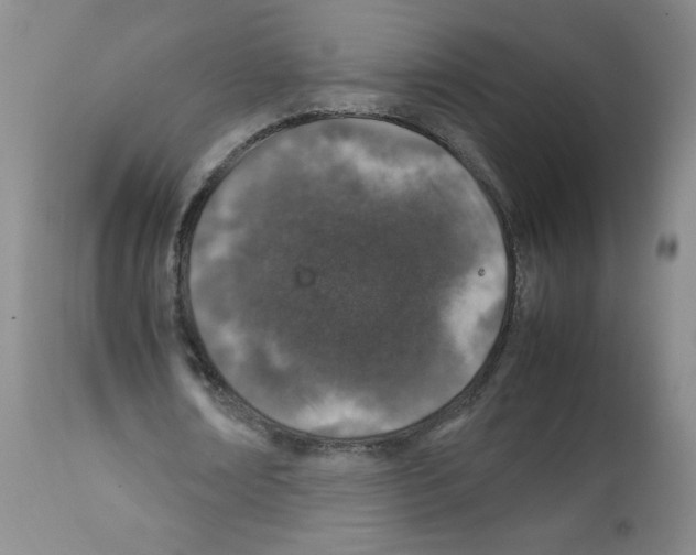 X0000112010674200909141126