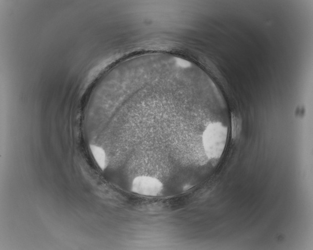 X0000112010675200909141126