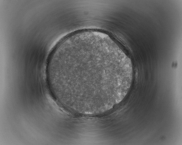 X0000112010676200909141126