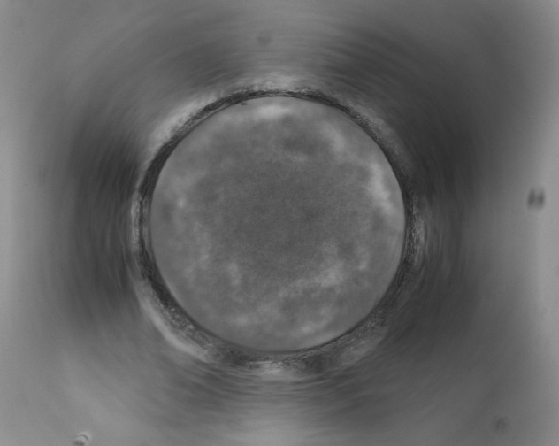 X0000112010678200909141126