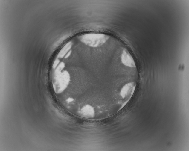 X0000112010679200909141126