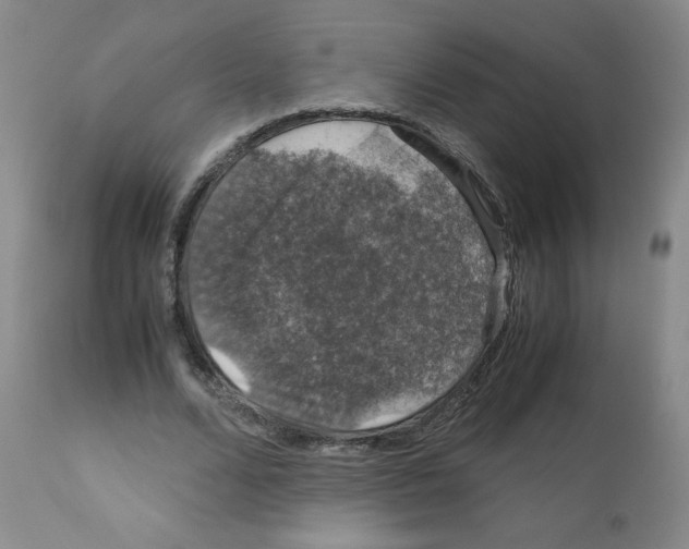 X0000112010680200909141126